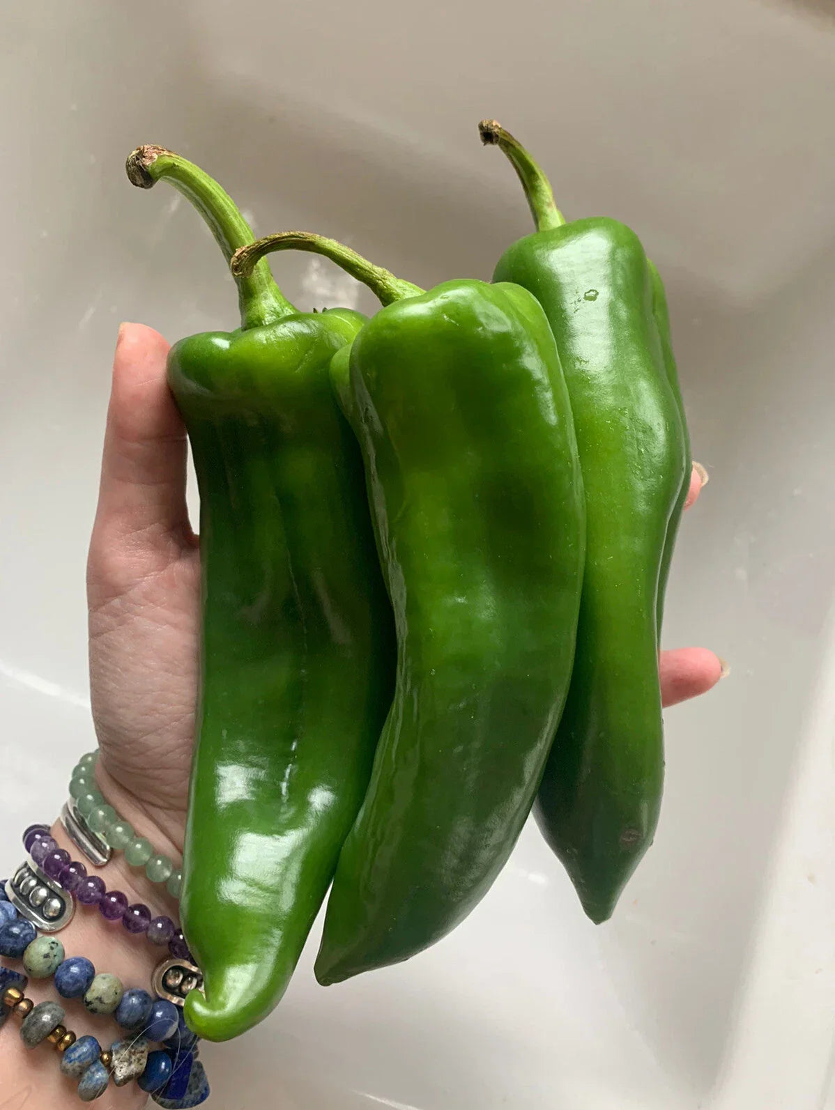 Organic Anaheim Chile Hot Pepper Seeds - 25 NON-GMO Heirloom Seeds - Capsicum annuum - Mild Heat for Home Gardening