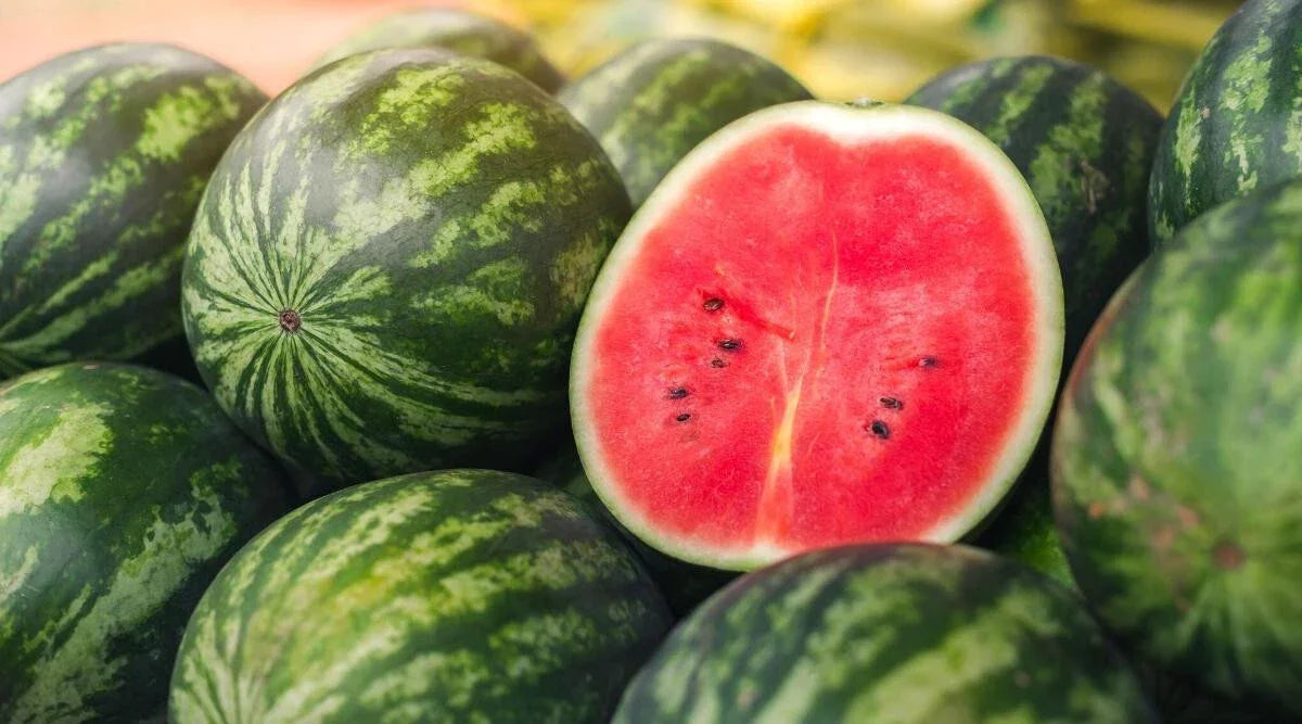 Picnic Watermelon Seeds - 50+ Pack - Citrullus lanatus - Non-GMO, USA Grown for Home Gardening
