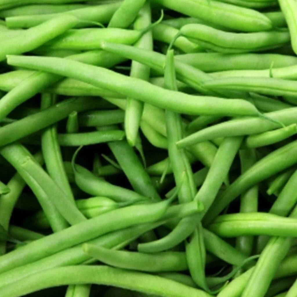 Kentucky Wonder Pole Bean Seeds 50 Ct Heirloom Non-GMO Vegetable Seeds Phaseolus vulgaris for Organic Gardening