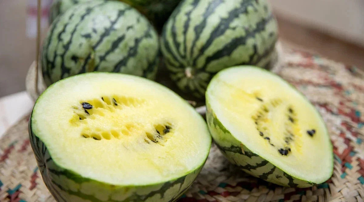 Cream of Saskatchewan Watermelon Seeds - 50+ Pack - Heirloom Citrullus lanatus - Non-GMO, Sweet, Juicy Flavor