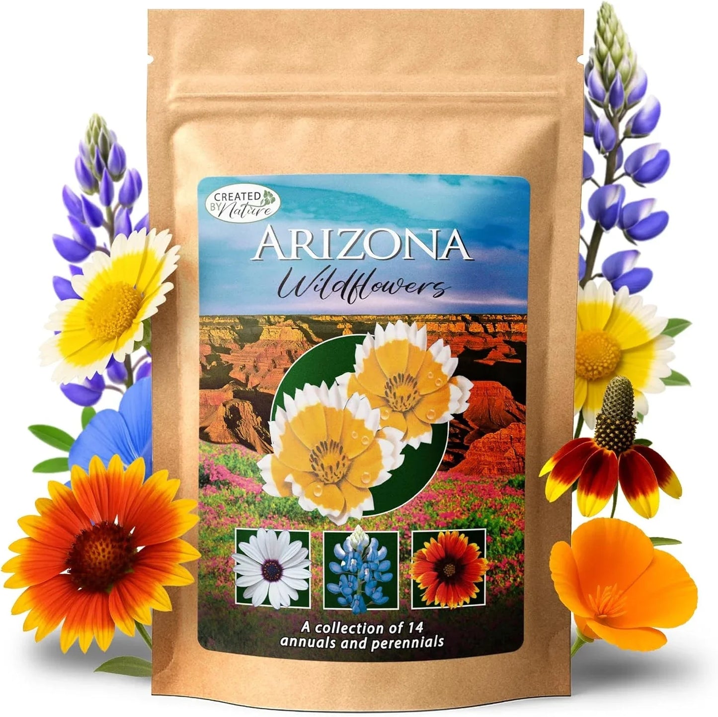 Arizona Wildflower Seed Mix - 3 oz Packet - 14 Varieties Including Poppy & Lupine - Non-GMO Seeds for Pollinator Gardens