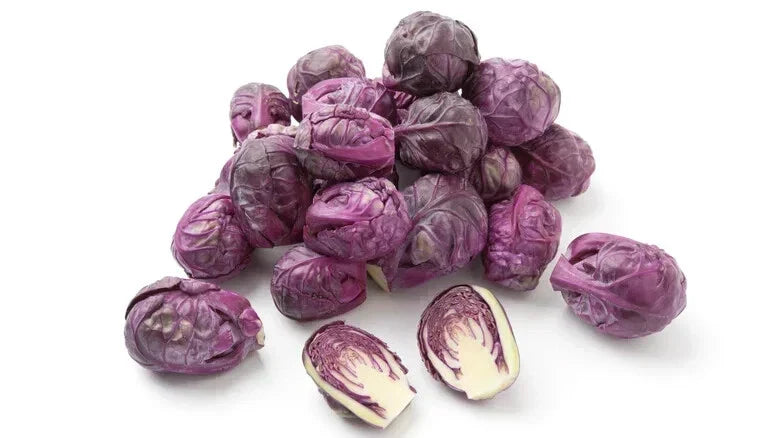 Brussels Sprouts Seeds - 500+ Pack - Redarling Variety - Brassica oleracea - Non-GMO, High Germination Rate for Home Gardening