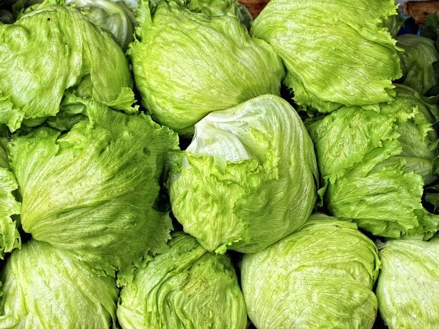 Iceberg Lettuce Seeds - Non-GMO Vegetable Seeds for Home Garden - Lactuca sativa - 200 Seeds for Fresh Salads