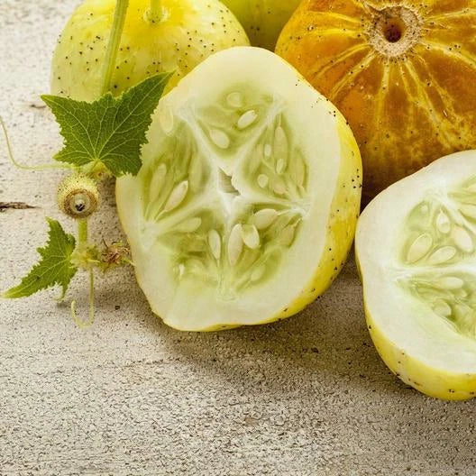 Lemon Cucumber Seeds - 40 Non-GMO Heirloom Seeds - Cucumis sativus - Unique Lemon-Shaped Cucumbers for Home Garden