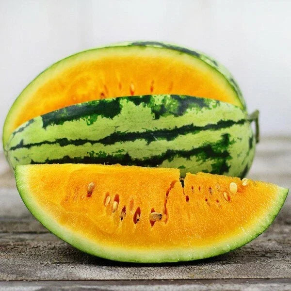 Orangeglo Watermelon Seeds | 20 Pack | Heirloom Non-GMO | Citrullus lanatus | Organic Gardening
