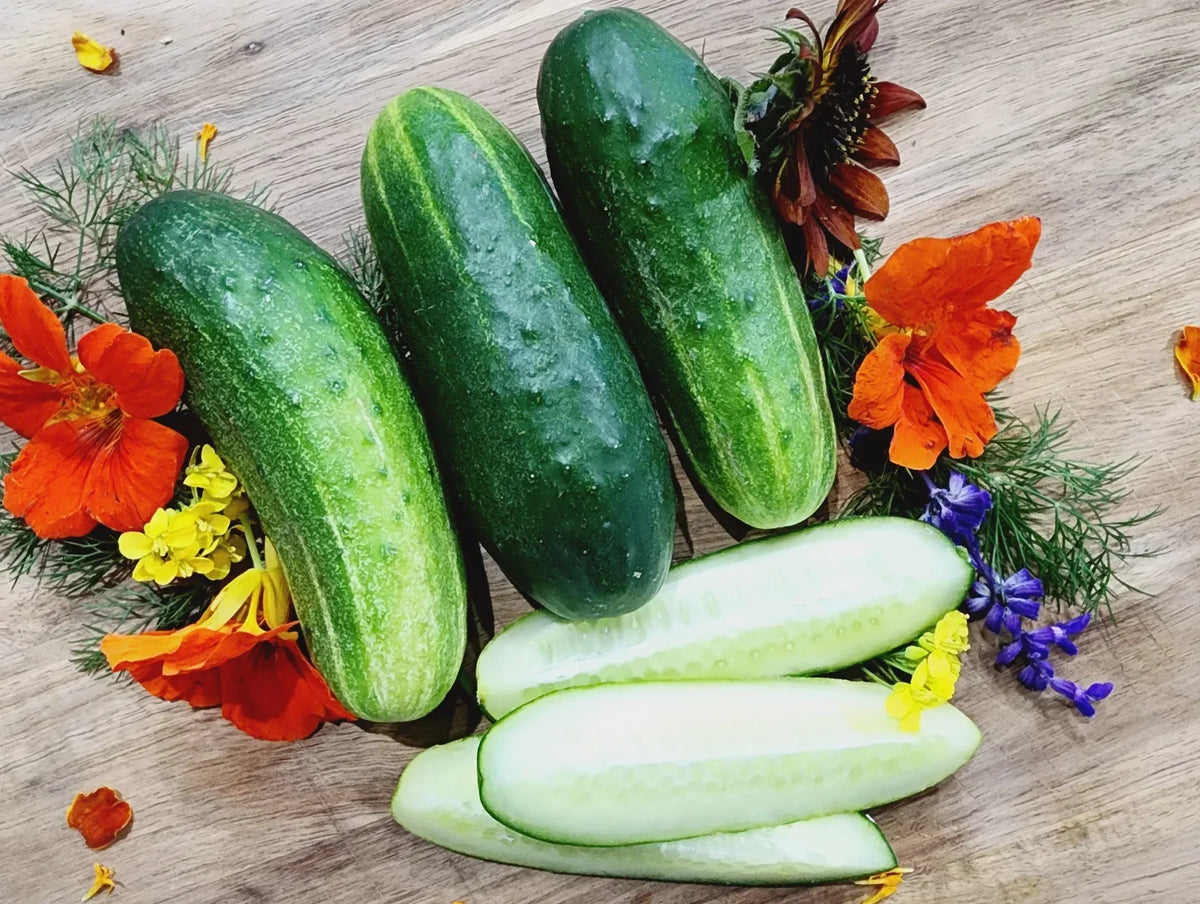 Wisconsin SMR-58 Cucumber Seeds - 200+ Heirloom Organic Non-GMO Pickling Seeds - Cucumis sativus - Perfect for Home Gardens