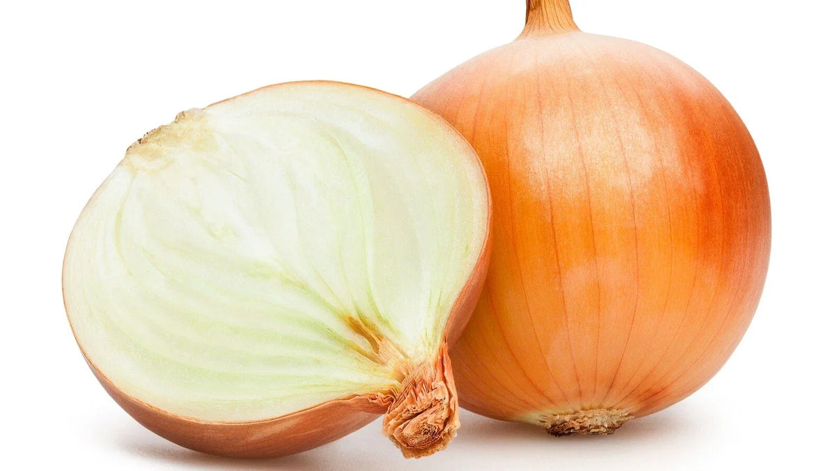 Organic Sweet Spanish Onion Seeds 100 Count - Heirloom Non-GMO Allium cepa - Easy Garden Vegetable Seeds for Home Gardening