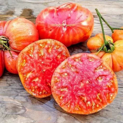 Heirloom Tomato Seeds - 30+ Organic Non-GMO Hillbilly Variety - Solanum lycopersicum - Perfect for Home Garden