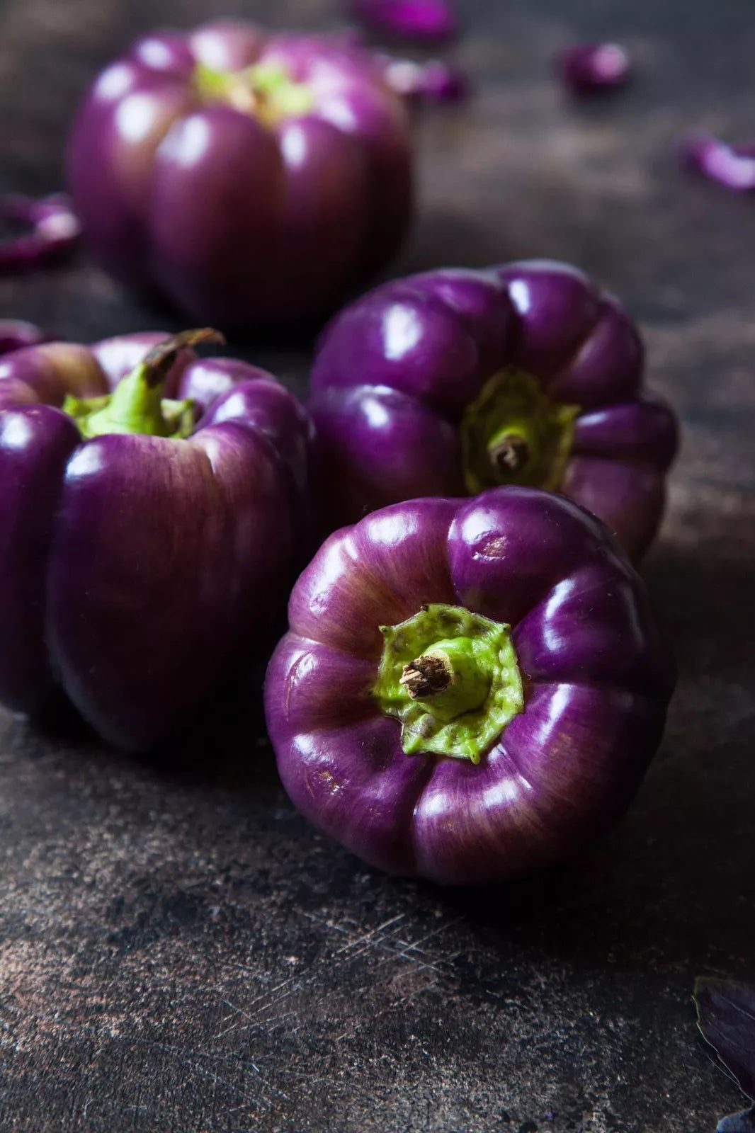 Purple Beauty Pepper Seeds - 100+ Seeds - Capsicum annuum - Versatile Edible Pepper for Home Gardening and Culinary Use