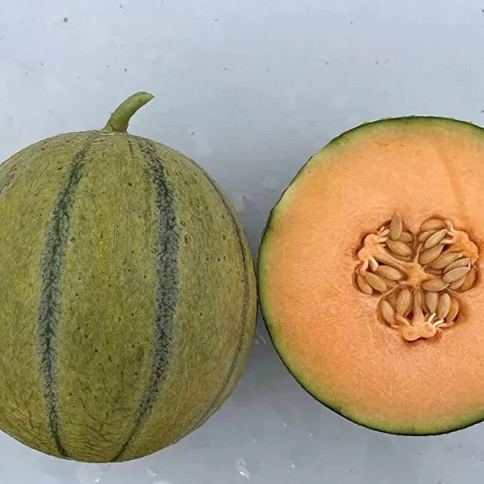 Melonade Cantaloupe Seeds - 10 Pack - Sweet Flavor, High Yield - Cucumis melo - Ideal for Home Gardening