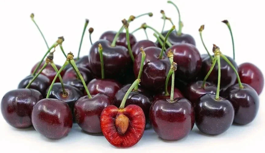 Dark Red Bing Cherry Seeds - 15 Seeds - Prunus Avium - USA Grown - Sweet Flavor for Home Gardening and Preserves