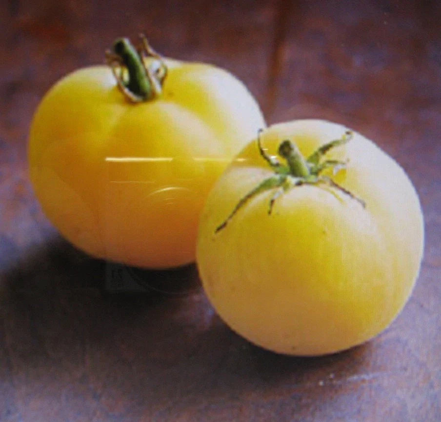 Garden Peach Tomato Seeds Packet - Heirloom, Sweet Flavor, Solanum lycopersicum - Non-GMO, Disease Resistant, Easy to Grow