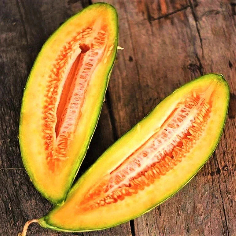 Banana Cantaloupe Seeds - 50+ Heirloom Cucumis Melo for 2025 Planting, Non-GMO, Easy to Grow, Sweet Melons