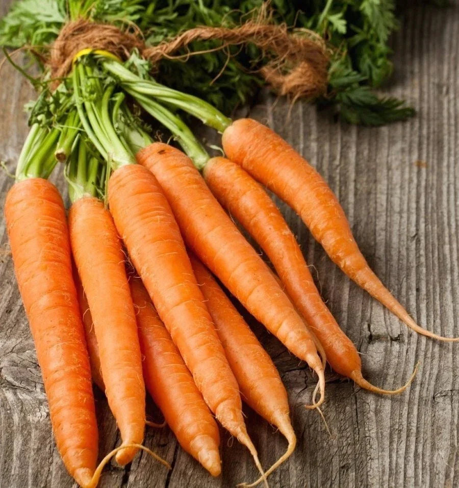 Tendersweet Carrot Seeds - 1000+ Heirloom Organic Non-GMO - Daucus carota - Sweet Crunchy Root Vegetable for Home Gardens