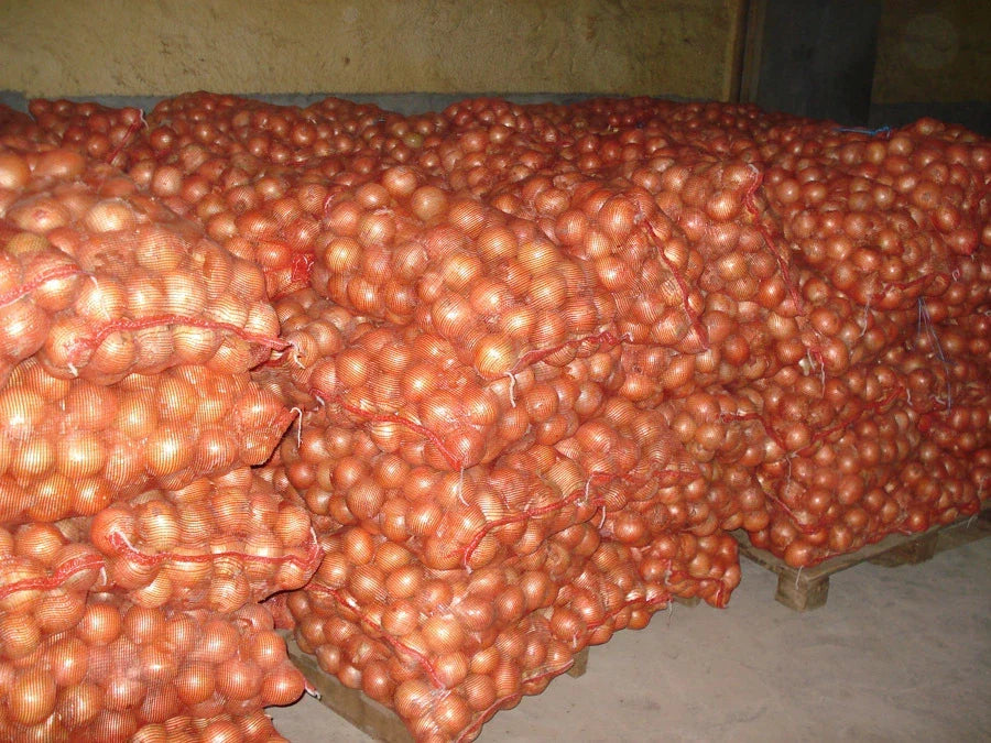 Yellow Sweet Onion Seeds - 100 Seeds - Sweetest Variety - Allium cepa - Non-GMO for Home Gardening & Culinary Use