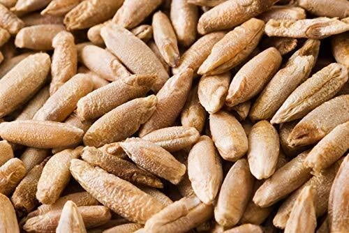 Rye Berries 4 Pounds | Whole Grain High Fiber & Iron | Secale cereale | Non-GMO Bulk Bag for Cooking and Baking