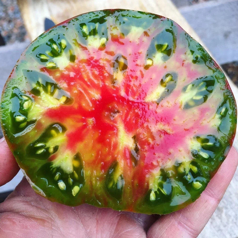 Ananas Noire Tomato Seeds - 120+ Organic Heirloom Seeds - Rare Black Pineapple Variety - Solanum lycopersicum - Non-GMO