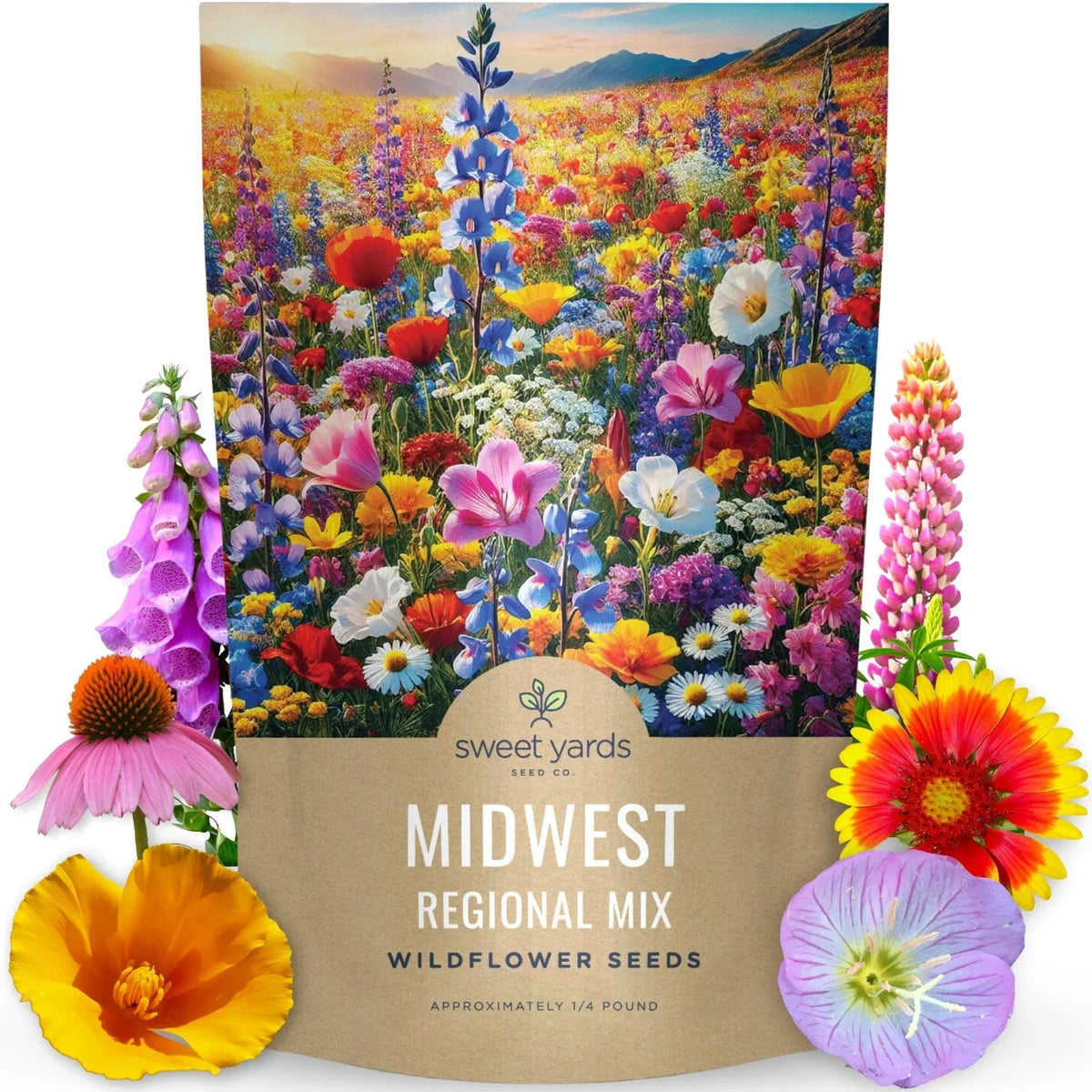 Midwest Wildflower Seed Mix 1/4 Pound Bulk - 60,000 Non-GMO Flower Seeds for Planting - Various Species