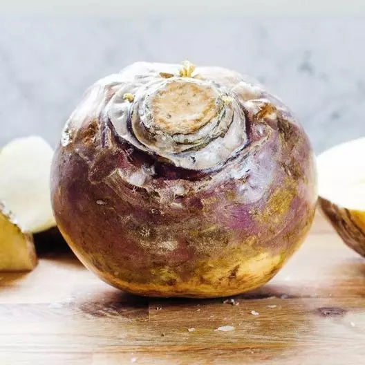 American Purple Top Rutabaga Seeds - 2000 Count Non-GMO Heirloom Vegetable Seeds - Brassica napus for Home Garden