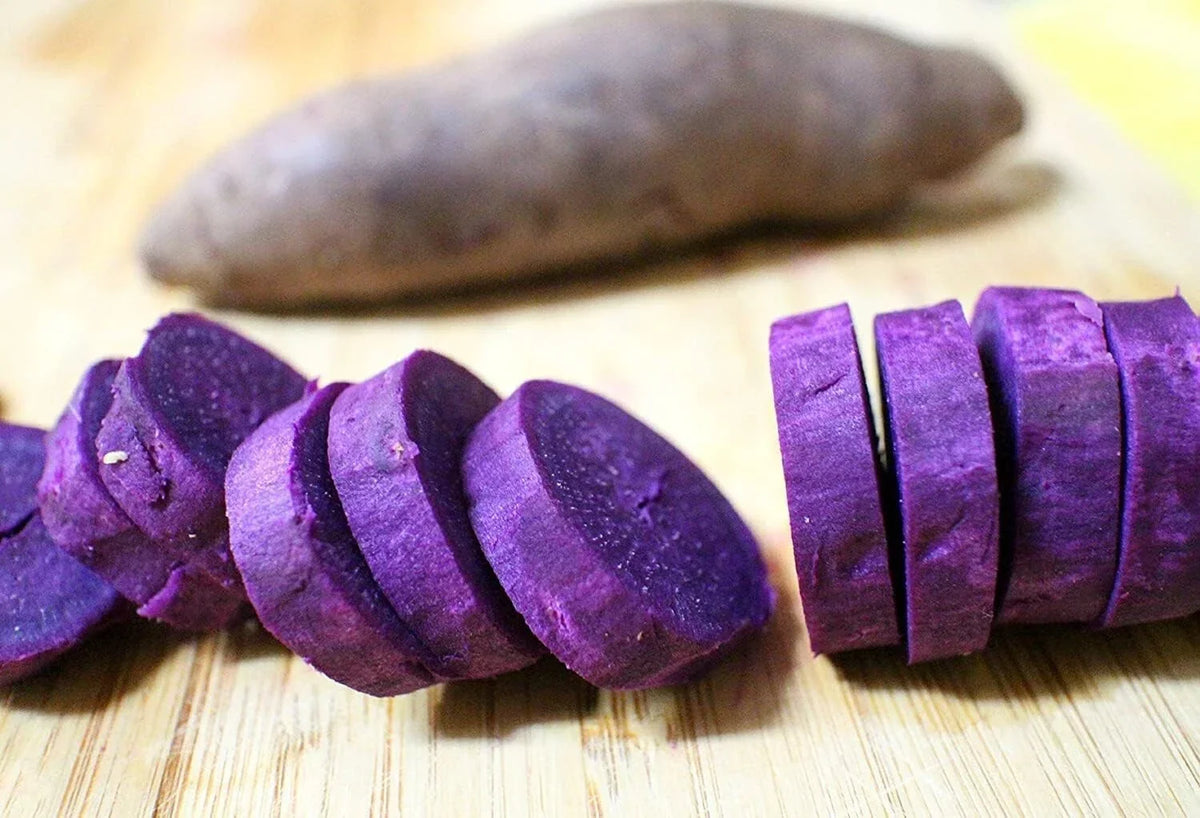 Purple Japanese Sweet Potato Slips - 10 Pack - Organic Ipomoea batatas - Garden Starter Plants for Easy Growing