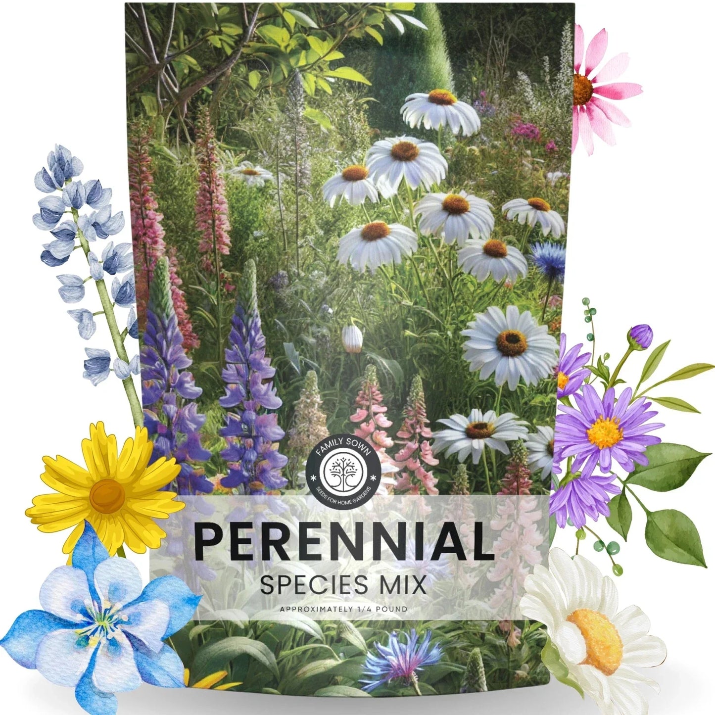 Perennial Wildflower Seed Mix Bulk 1/4 Pound - Native Flower Varieties for Planting - 60,000 Seeds (Various Species)