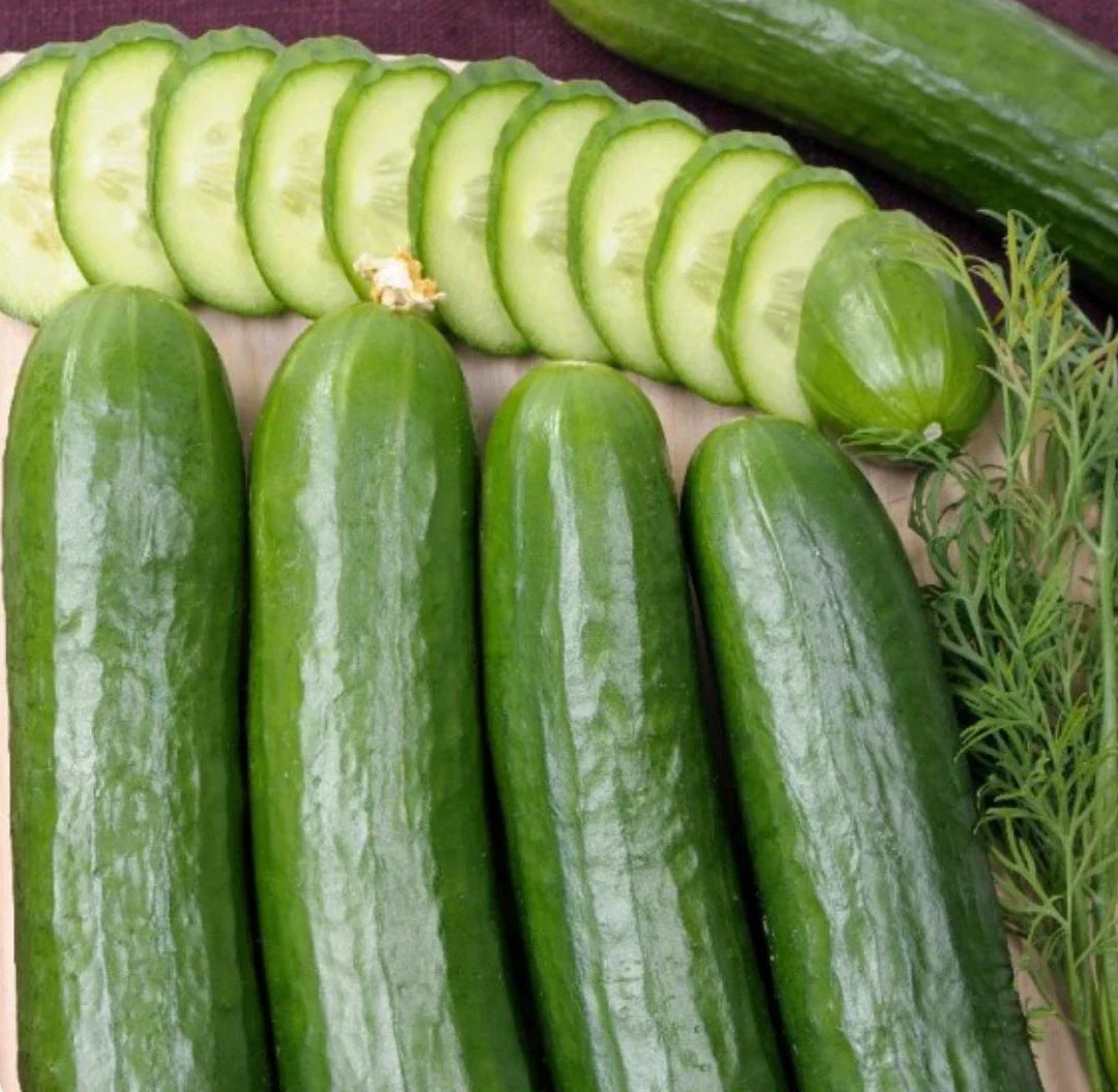Cucumber Seeds 300 Count | Straight Eight Heirloom | Cucumis sativus | Award-Winning Variety for Home Gardens & Salads