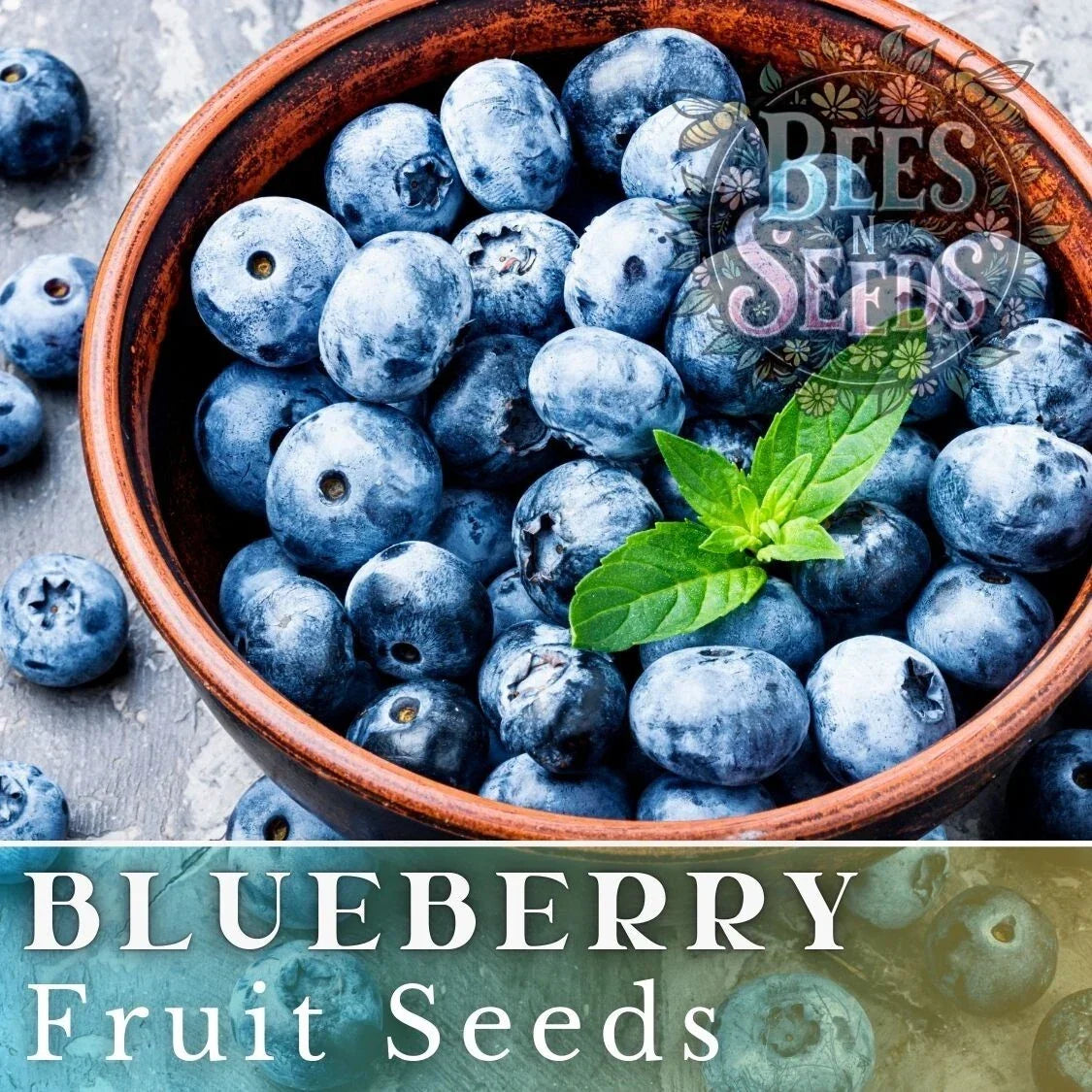 Blueberry Seeds Bulk - Non-GMO Fruit Seeds 200/750/3200 - Vaccinium corymbosum - Ideal for Organic Gardening