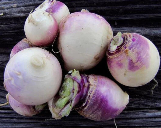 500+ Turnip Seeds - Purple Top White Globe - Brassica rapa - Non-GMO Vegetable Seeds for Garden, USA