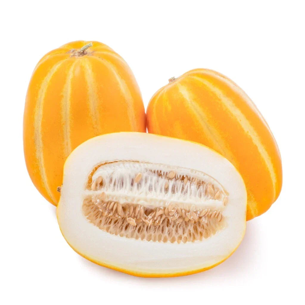 Korean Musk Melon Seeds - 50 Pack Non-GMO Golden Sweet - Cucumis melo var. makuwa - Aromatic Summer Fruit Gardening