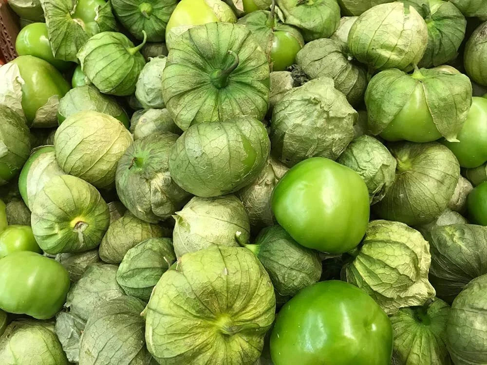 Rio Grande Verde Tomatillo Seeds - 100 Count for Gardening - Physalis ixocarpa - Ideal for Salsa and Culinary Use