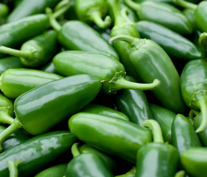 Jalapeno Pepper Seeds 50+ Spicy Mexican Culinary Seeds Capsicum annuum for Salsas, Dips, and Flavorful Dishes