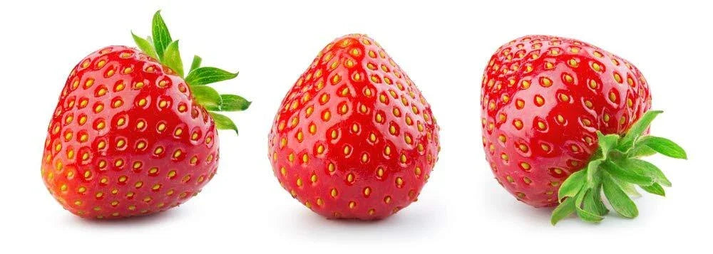 Everbearing Strawberry Seeds - 200+ Premium Seeds - Red Fruit - Fragaria × ananassa - Ideal for Home Gardens and Containers