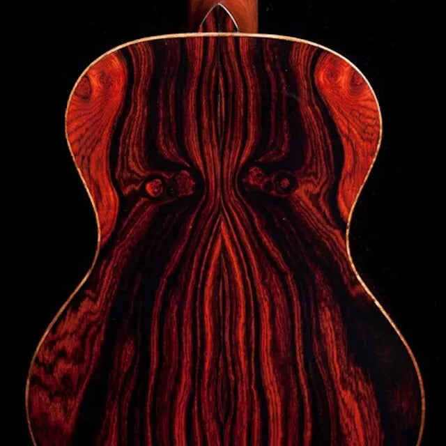 Cocobolo Tree Seeds for Planting, Premium Lumber Variety, Dalbergia retusa - Ideal for Fine Woodwork, Tropical Hardwood Seeds