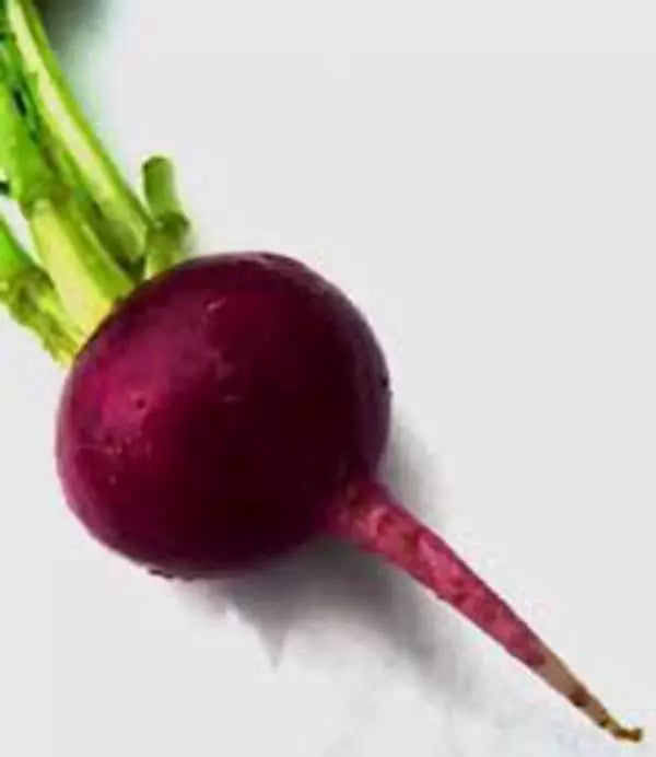 Beet Seeds - 100 Non-GMO Early Wonder Heirloom - Beta vulgaris - Sweet Flavor, Tender Texture, Ideal for Home Gardens