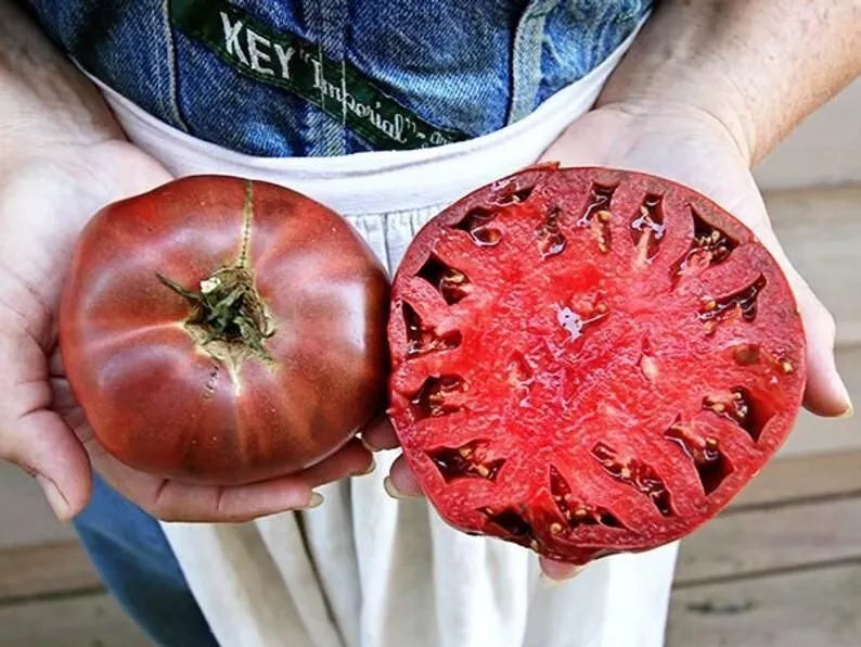 Cherokee Purple Tomato Seeds - 10+ Heirloom Non-GMO Seeds - Solanum lycopersicum - Rich Flavor for Home Gardens