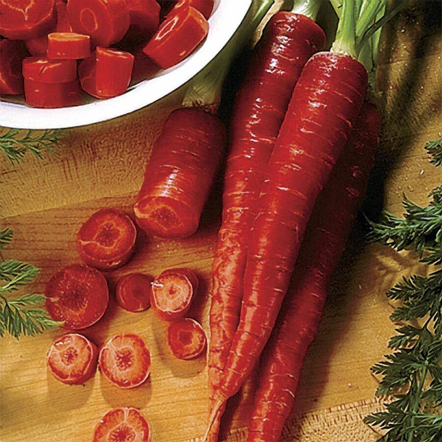 Atomic Red Carrot Seeds - 4,000 Non-GMO Seeds, Rare Variety, High Lycopene, Daucus carota - Perfect for Home Gardens
