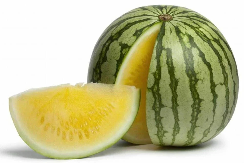 Yellow Doll Seedless Watermelon Seeds - 50+ Pack - Citrullus lanatus - Non-GMO, USA Grown, Perfect for Home Gardens