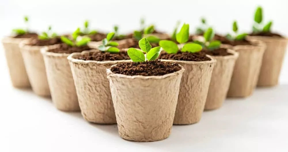 3 Inch Biodegradable Starter Pots - 50 Pack Eco-Friendly Planting Containers for Seedlings and Plants