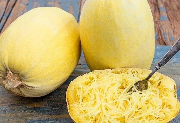 Spaghetti Squash Seeds - 5 Pack - Non-GMO Cucurbita pepo - Easy to Grow Vegetable Seeds for Home Gardens