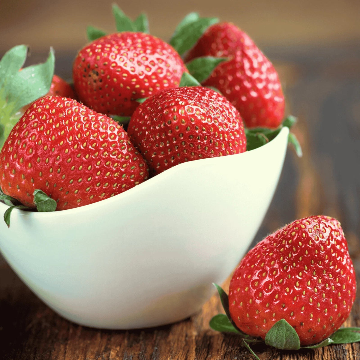 Extra-Large Bare Root Cabot Strawberry Plants - Fragaria × ananassa, June-Bearing, Sweet Flavor, Perfect for Home Gardening