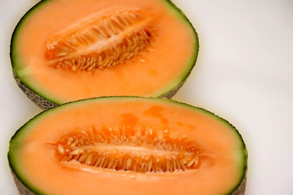 Melon Seeds 40 Count Iroquois Muskmelon Cantaloupe Cucumis melo - Non-GMO Garden Seeds for Home Growing