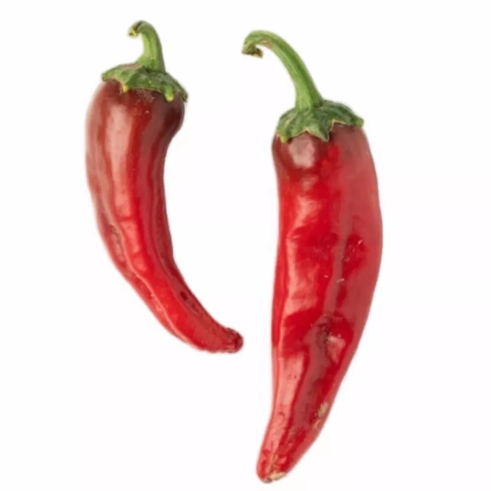 NuMex Joe E Parker Hot Pepper Seeds | Non-GMO Heirloom | Capsicum annuum | Compact Growth for Pots & Garden Beds