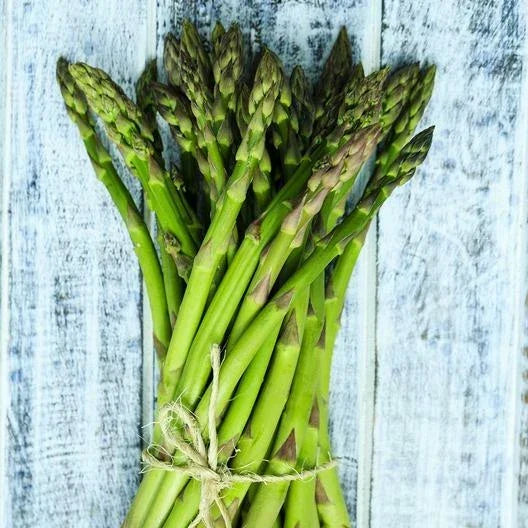 Asparagus Seeds - 50 Count - UC 157 F2 Heirloom - High Yield Variety - Asparagus officinalis - Perennial Garden Seeds