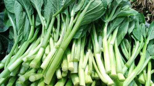 Yu Choy Seeds - 200+ Seeds Choi Sum Chinese Flowering Cabbage - Brassica rapa for Home Vegetable Garden USA