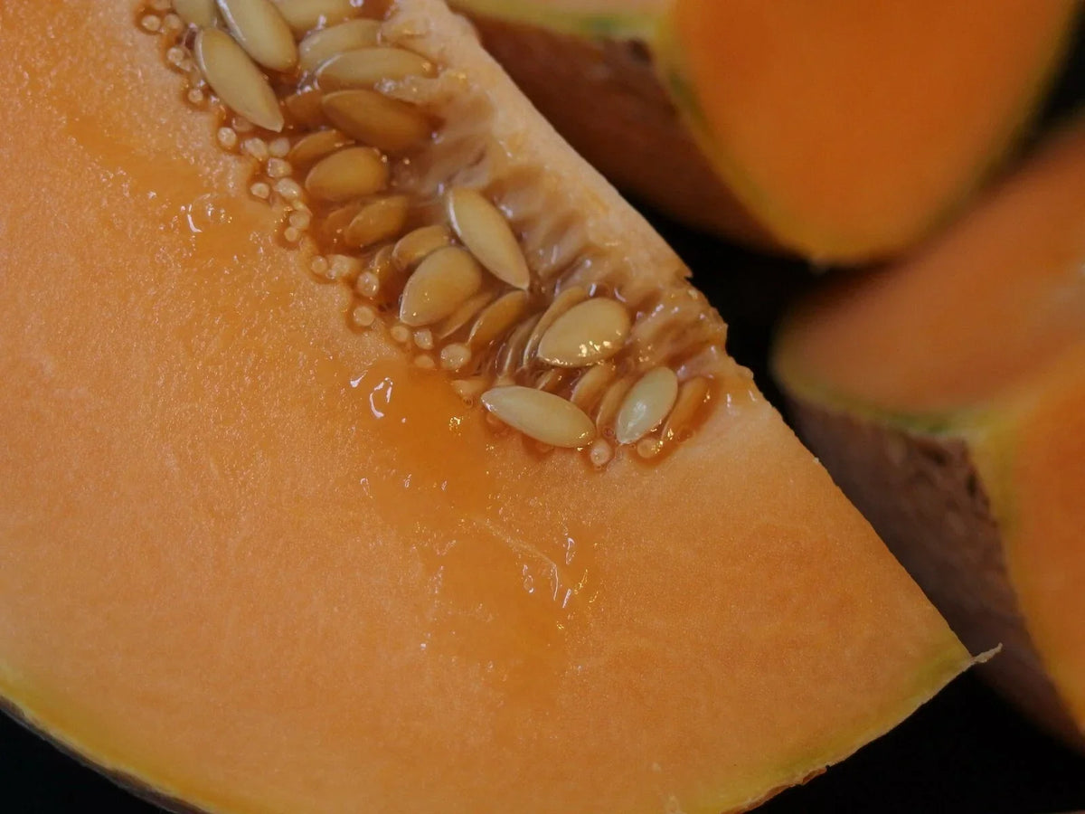 Organic Midget Melon Seeds 300+ Count - Sweet Cantaloupe Variety - Cucumis melo - Fast Growing for Small Gardens