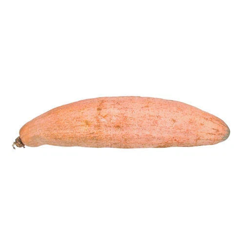 25+ Banana Squash Seeds - Heirloom Variety - Cucurbita maxima - USA Grown for Garden Planting, Non-GMO, Free Shipping