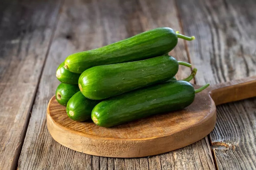 Picolino Mini Cucumber Seeds (10 Seeds) - Crunchy Cucumis sativus for Small Gardens and Containers