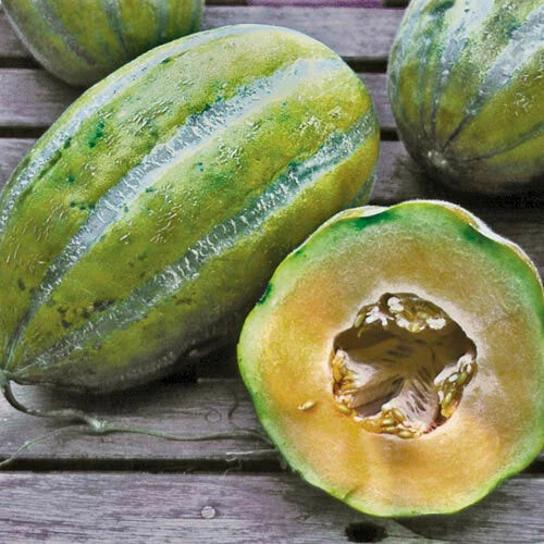 Bidwell Casaba Melon Seeds - Heirloom Cantaloupe Seeds (Cucumis melo) - 20-100 Sweet Fruit Seeds for Home Garden