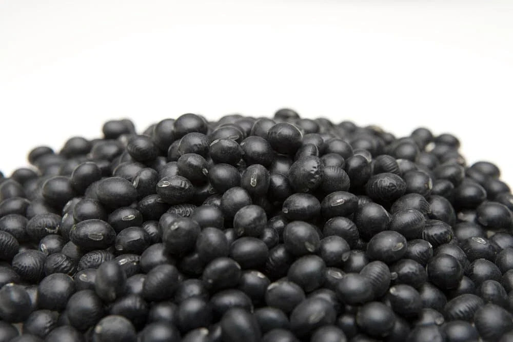 Black Soybean Seeds - 1 lb Non-GMO Organic Glycine max - Perfect for Planting, Sprouting, and Home Gardening