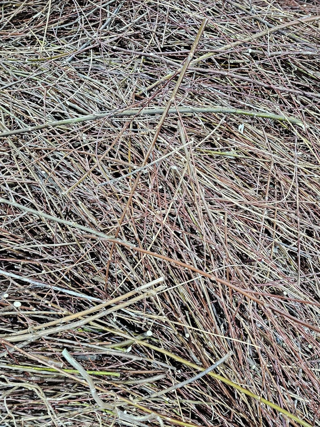 Natural Willow Tree Straw | Organic Mulch & Animal Bedding | Eco-Friendly | Salix spp.